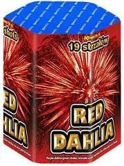 RED DAHLIA CAKE  19 SHOTS  30MM P7150