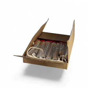 WODOSPAD 70SEK 8M W7S60