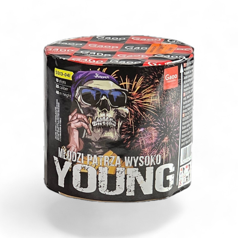 YOUNG 13 SHOTS  25MM SS13-04I